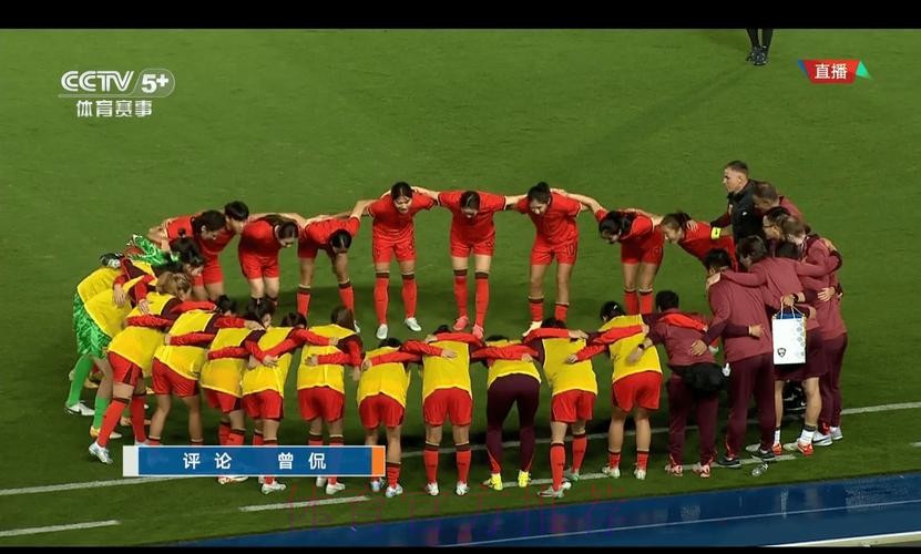 全景呈现：世界杯直播精彩瞬间